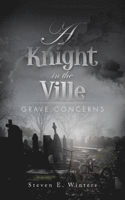 bokomslag Knight in the Ville