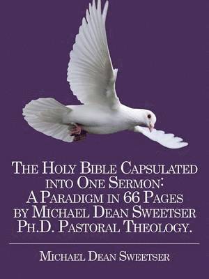bokomslag Holy Bible Capsulated into One Sermon