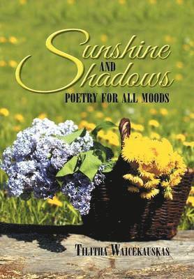 Sunshine and Shadows 1