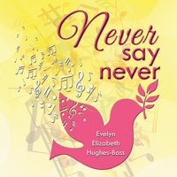 bokomslag Never Say Never