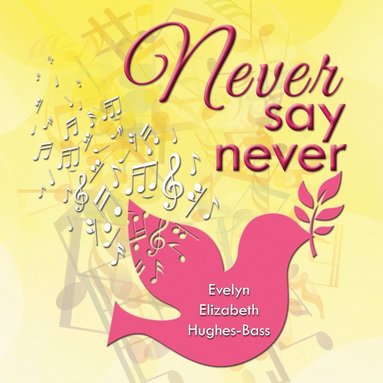 bokomslag Never Say Never