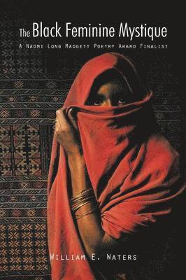 bokomslag Black Feminine Mystique