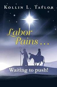 bokomslag Labor Pains . . . Waiting to push!