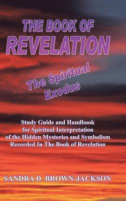 bokomslag BOOK OF REVELATION The Spiritual Exodus