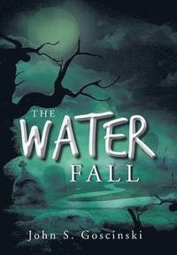 bokomslag The Water Fall