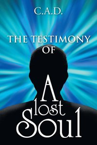 bokomslag Testimony Of A Lost Soul