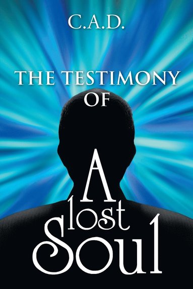 bokomslag Testimony Of A Lost Soul