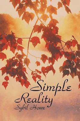 Simple Reality 1