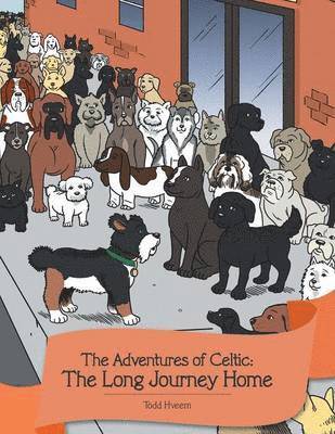 Todd Hveem - Adventures of Celtic, Häftad