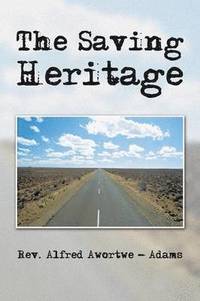 bokomslag Saving Heritage