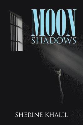 Moon Shadows 1