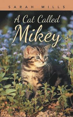 Sarah Mills - Cat Called Mikey, Häftad