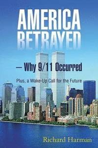 bokomslag America Betrayed ? Why 9/11 Occurred
