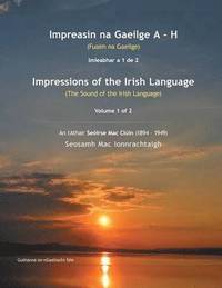 bokomslag Impreasin na Gaeilge A - H