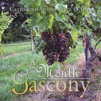 A Month in Gascony 1