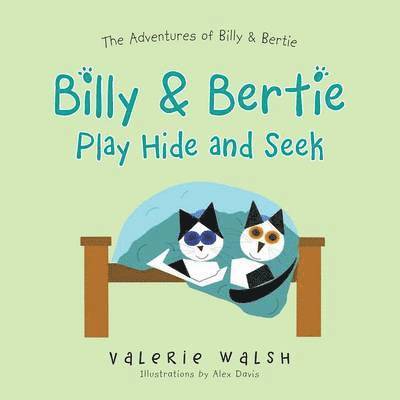 Billy & Bertie Play Hide and Seek 1