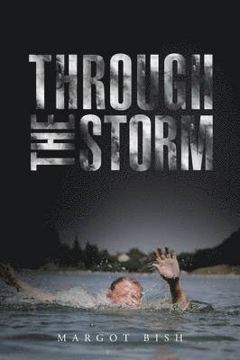 Through the Storm 1