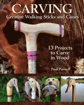 Carving Creative Walking Sticks and Canes 1