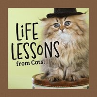 bokomslag Life Lessons from Cats