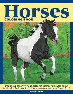 bokomslag Horses Coloring Book