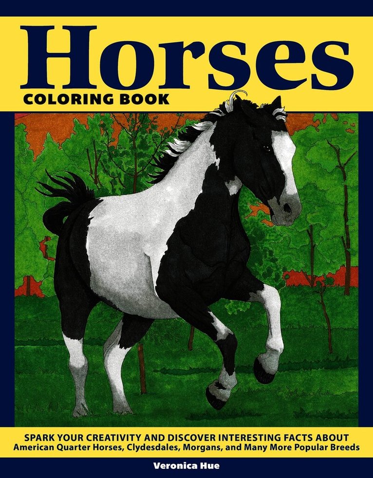 Horses Coloring Book