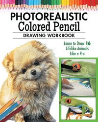 bokomslag Photorealistic Colored Pencil Drawing Workbook (Book 2)