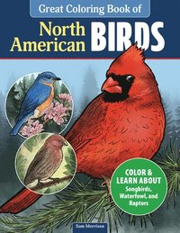 bokomslag Great Coloring Book of North American Birds: Color & Learn about Songbirds, Waterfowl, and Raptors