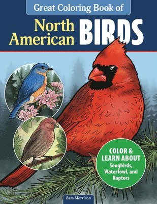 bokomslag Great Coloring Book of North American Birds: Color & Learn about Songbirds, Waterfowl, and Raptors