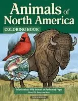 Sam Morrison - Animals of North America Coloring Book: Color Realistic Wild Animals on Perforated Pages - Bison, Elk, Sheep, and More, Häftad. Tillgänglighet: Lägg i varukorg