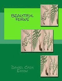 Beautiful Ferns 1