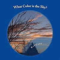 What Color is the Sky? 1