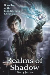 bokomslag Realms of Shadow