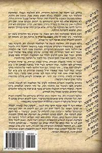 bokomslag Shabat B - Bekitsur: To Learn to Understand and to Remember