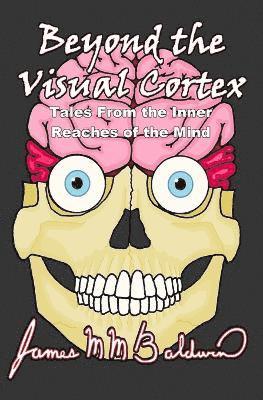 Beyond the Visual Cortex 1