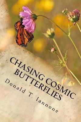 bokomslag Chasing Cosmic Butterflies