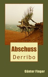bokomslag Derribo: Abschuss