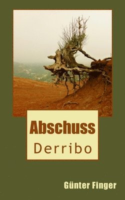 Derribo: Abschuss 1