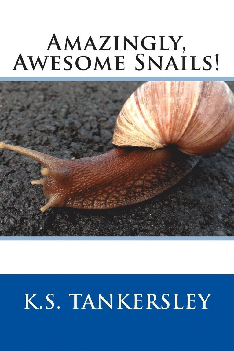 Amazingly, Awesome Snails! 1