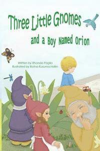 bokomslag Three Little Gnomes: and a Boy Named Orion