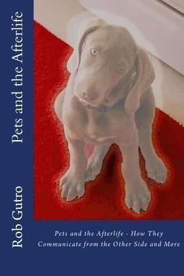 Pets and the Afterlife 1