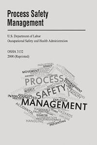 bokomslag Process Safety Management