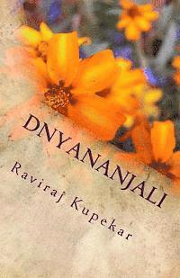 bokomslag Dnyanaanjali: Love, Care, Motivation and God.