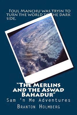 bokomslag #41 'The Merlins 'n the Aswad Bahadur': Sam 'n Me(TM) adventure books