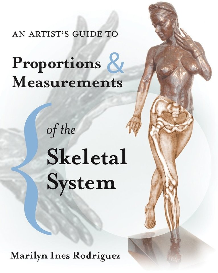 An Artist's Guide to Proportions & Measurements of the Skeletal System 1