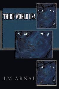 bokomslag Third World USA