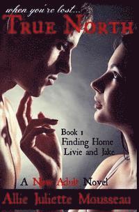 bokomslag True North Book One Finding Home Livie and Jake