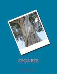 Secrets 1