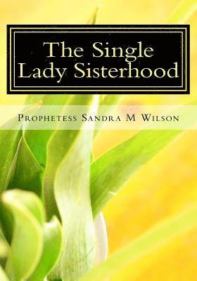 bokomslag The Single Lady Sisterhood