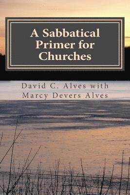 bokomslag A Sabbatical Primer for Churches