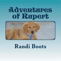 bokomslag Adventures of Rupert: Roo's New Day